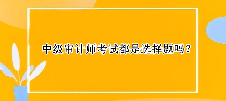 中級審計師考試都是選擇題嗎？