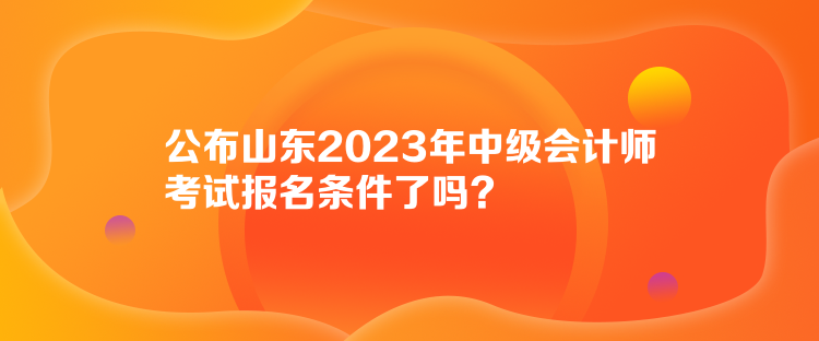 公布山東2023年中級會計師考試報名條件了嗎？