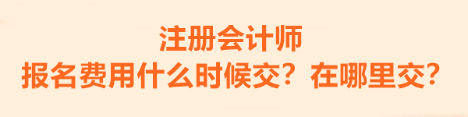 注冊會計師的報名費用什么時候交？在哪里交？