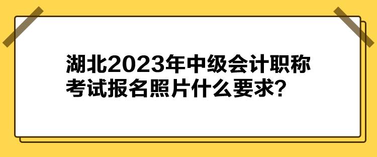 湖北2023年中級會計職稱考試報名照片什么要求？