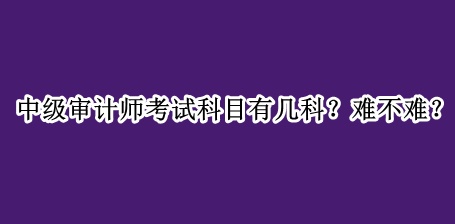 中級審計師考試科目有幾科？難不難？