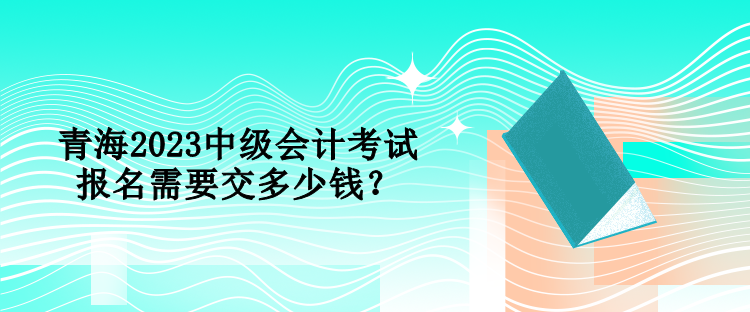 青海2023中級(jí)會(huì)計(jì)考試報(bào)名需要交多少錢？