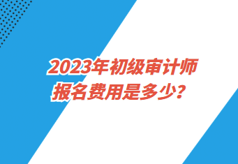 2023年初級審計師報名費用是多少？