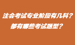 注會考試專業(yè)階段有什么考試題型？