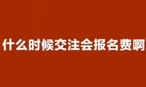 注會考試報名成功了 什么時候交費?。? suffix=