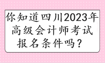 你知道四川2023年高級(jí)會(huì)計(jì)師考試報(bào)名條件嗎？