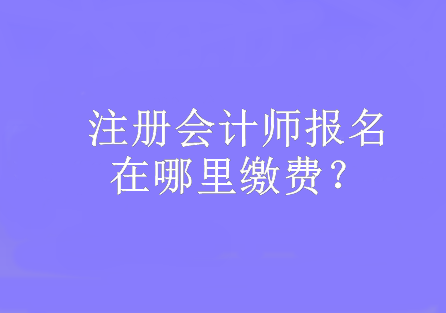 注冊會計師報名在哪里繳費？