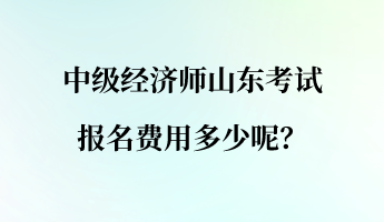 中級(jí)經(jīng)濟(jì)師山東考試報(bào)名費(fèi)用多少呢？