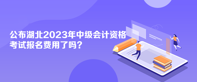 公布湖北2023年會計中級資格考試報名費用了嗎？