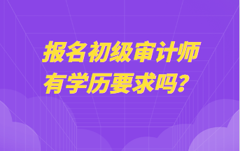 報(bào)名初級(jí)審計(jì)師有學(xué)歷要求嗎？