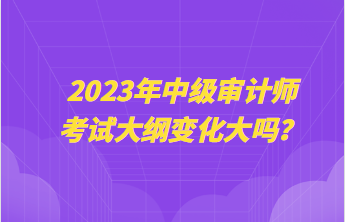 2023年中級審計師考試大綱變化大嗎？