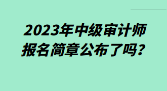 2023年中級(jí)審計(jì)師報(bào)名簡(jiǎn)章公布了嗎？