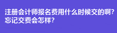 注冊(cè)會(huì)計(jì)師報(bào)名費(fèi)用什么時(shí)候交的??？忘記交費(fèi)會(huì)怎樣？