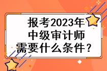 報(bào)考2023年中級(jí)審計(jì)師需要什么條件？