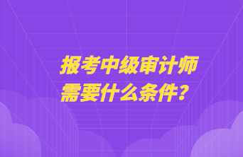 報考中級審計師需要什么條件？