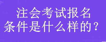 注會考試報名條件是什么樣的？