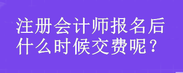 注冊會計師報名后什么時候交費(fèi)呢？