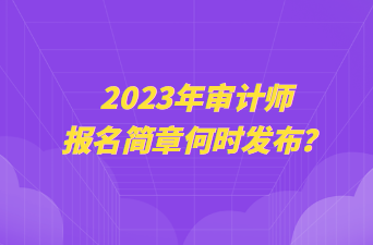 2023年審計師報名簡章何時發(fā)布？