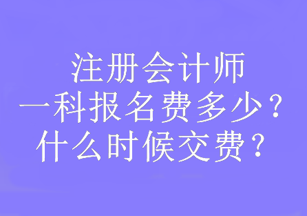 注冊(cè)會(huì)計(jì)師一科報(bào)名費(fèi)多少？什么時(shí)候交費(fèi)？