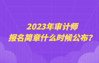 2023年審計師報名簡章什么時候公布？