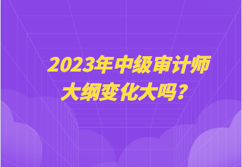 2023年中級(jí)審計(jì)師大綱變化大嗎？