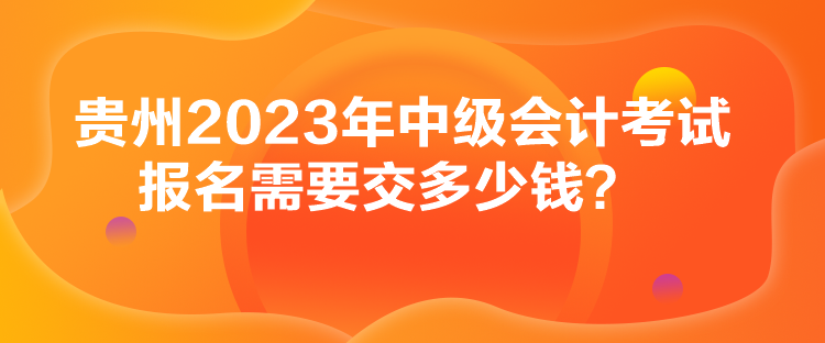 貴州2023年中級(jí)會(huì)計(jì)考試報(bào)名需要交多少錢？