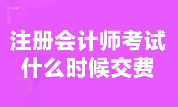 現(xiàn)在可以交注冊會計師報名費嗎？