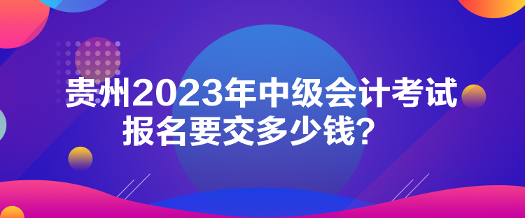 貴州2023年中級(jí)會(huì)計(jì)考試報(bào)名要交多少錢？