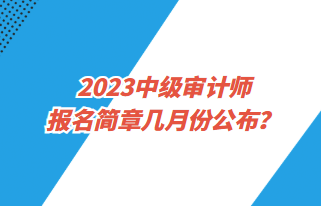 2023中級(jí)審計(jì)師報(bào)名簡(jiǎn)章幾月份公布？