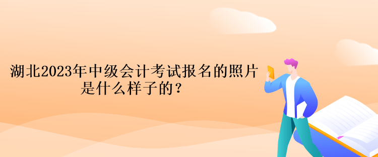 湖北2023年中級會計考試報名的照片是什么樣子的？