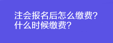 注會(huì)報(bào)名后怎么繳費(fèi)？什么時(shí)候繳費(fèi)？