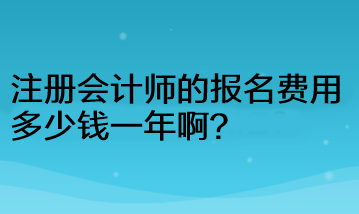 注冊(cè)會(huì)計(jì)師的報(bào)名費(fèi)用多少錢一年啊？