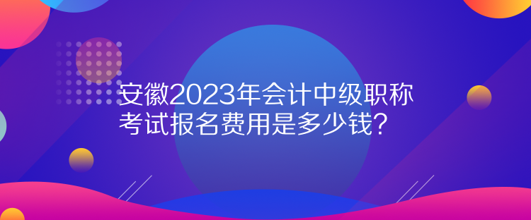 安徽2023年會計中級職稱考試報名費用是多少錢？