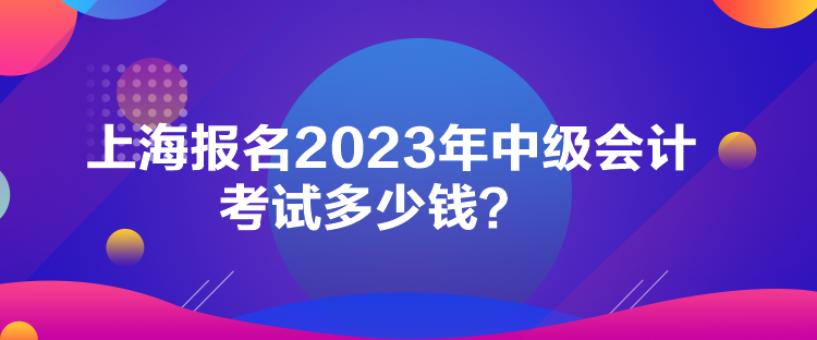 上海報(bào)名2023年中級(jí)會(huì)計(jì)考試多少錢？