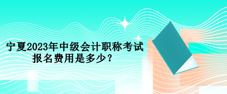 寧夏2023年中級(jí)會(huì)計(jì)職稱考試報(bào)名費(fèi)用是多少？