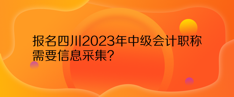 報(bào)名四川2023年中級會計(jì)職稱需要信息采集？