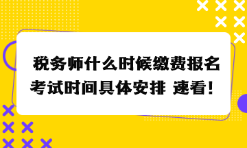 稅務(wù)師什么時候繳費報名考試時間具體安排 速看！