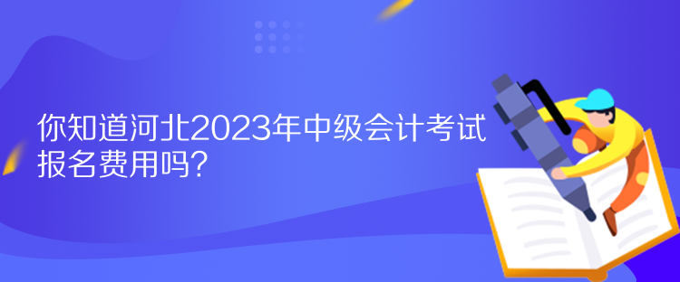 你知道河北2023年中級(jí)會(huì)計(jì)考試報(bào)名費(fèi)用嗎？