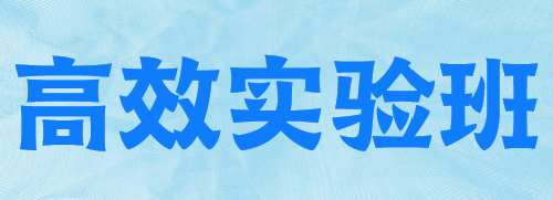 高效實(shí)驗(yàn)班