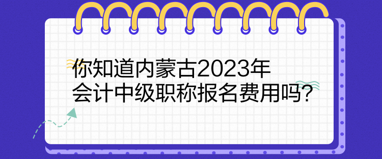 你知道內(nèi)蒙古2023年會計中級職稱報名費(fèi)用嗎？