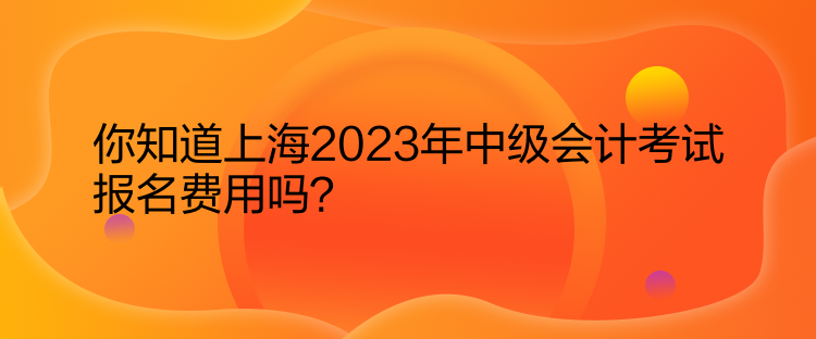 你知道上海2023年中級(jí)會(huì)計(jì)考試報(bào)名費(fèi)用嗎？