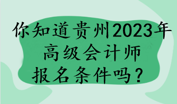 你知道貴州2023年高級(jí)會(huì)計(jì)師報(bào)名條件嗎？