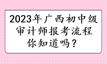 2023年廣西初中級審計師報考流程你知道嗎？