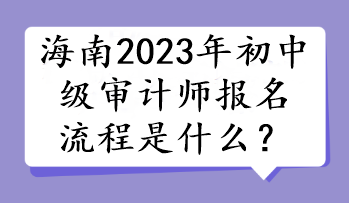 海南2023年初中級審計師報名流程是什么？