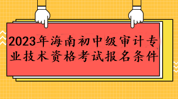 2023年海南初中級審計專業(yè)技術資格考試報名條件