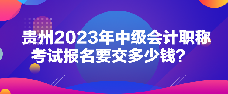 貴州2023年中級會計職稱考試報名要交多少錢？