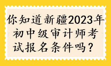 你知道新疆2023年初中級審計師考試報名條件嗎？