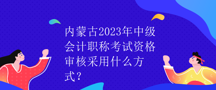 內(nèi)蒙古2023年中級(jí)會(huì)計(jì)職稱考試資格審核采用什么方式？