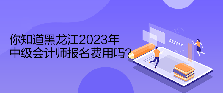 你知道黑龍江2023年中級(jí)會(huì)計(jì)師報(bào)名費(fèi)用嗎？