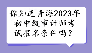 你知道青海2023年初中級審計(jì)師考試報(bào)名條件嗎？